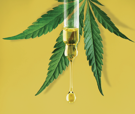 CBD & Drug Testing: The Impact